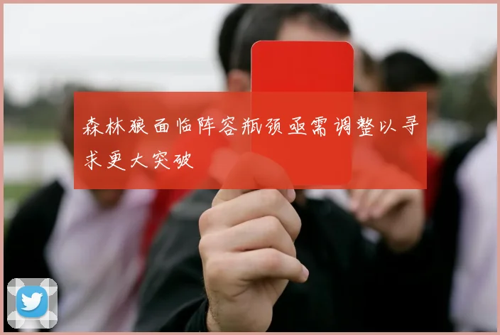 森林狼面临阵容瓶颈亟需调整以寻求更大突破
