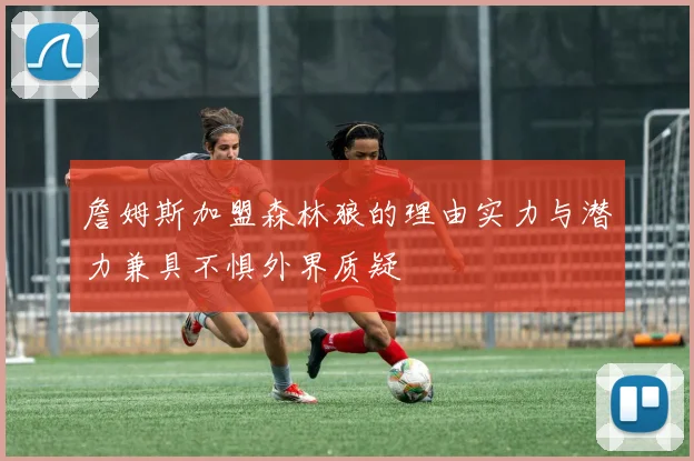 詹姆斯加盟森林狼的理由实力与潜力兼具不惧外界质疑